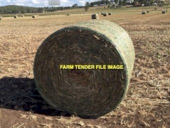 80 x Forage Sorghum & Millet 4x4 Round Netted Bales