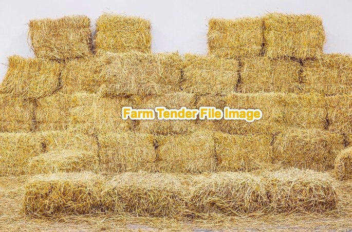 Wanted Smalll Squares of Wheaten Straw