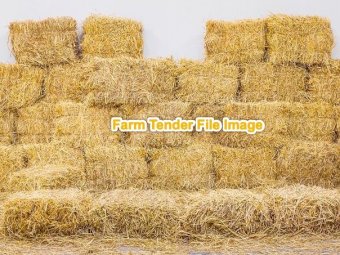 Wanted Smalll Squares of Wheaten Straw