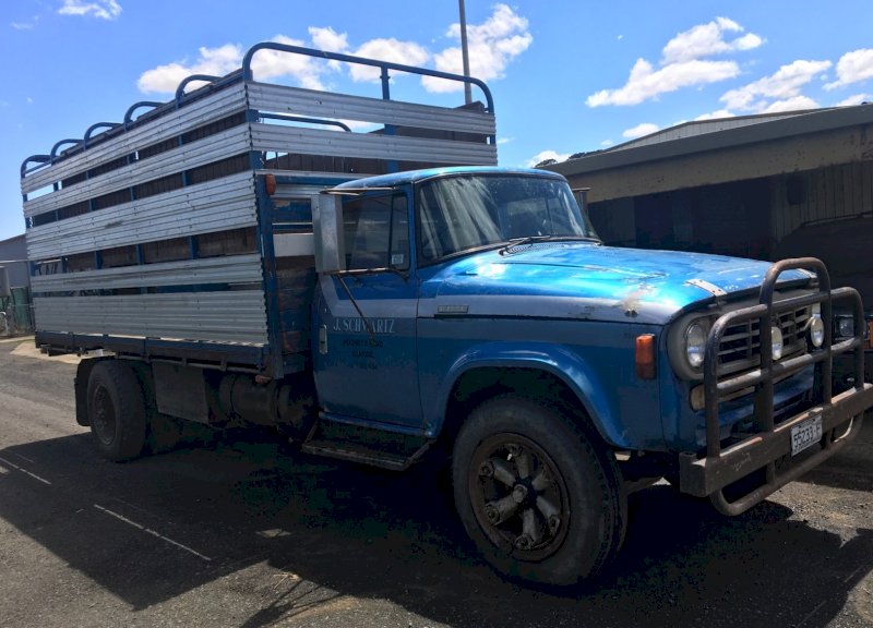 1978 INTERNATIONAL 16’ Tipping Tray with Near New Stock Crate