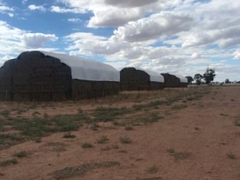 110mt Oaten Hay 600-650kg 8x4x3 Bales (20/21)