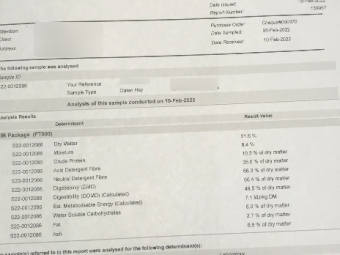 500mt Oaten Hay 600-650kg 8x4x3 Bales (20/21)