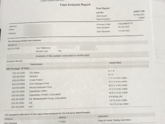 120mt Vetch Hay 600-650kg 8x4x3 Bales (20/21)