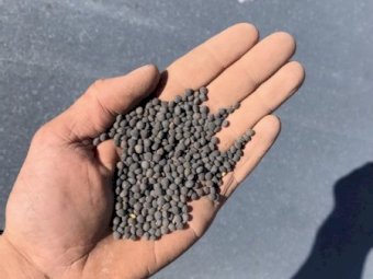 25-30 mt Popany Vetch Seed