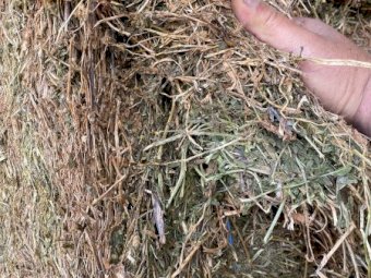 120mt Vetch Hay 8x4x3 Bales