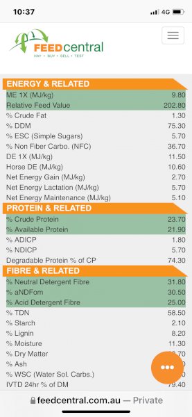 120mt Vetch Hay 8x4x3 Bales