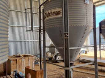 2.8MT Big Dutchman Grain Silo With Hopper