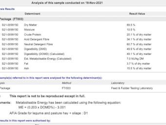 500mt Vetch Hay 650kg+ 8x4x3 (21/22)