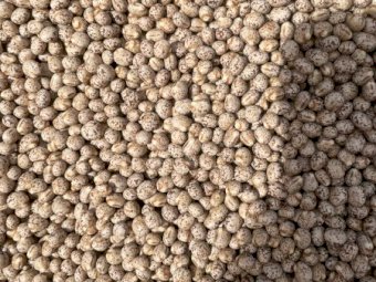 40 m/t Mandelup Lupins