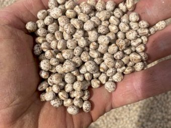 40 m/t Mandelup Lupins