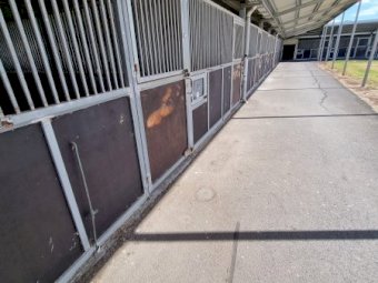 Under Auction - (A170) Horse Stables x 5 