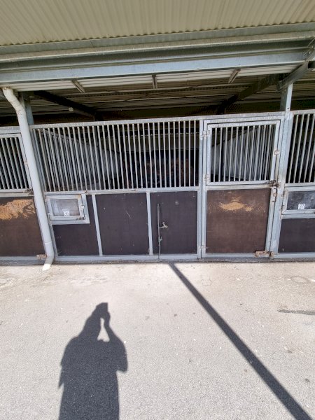 Under Auction - (A170) Horse Stables x 5 