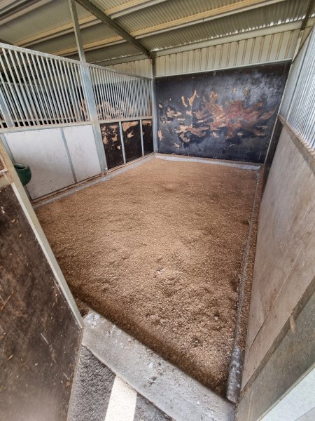 Under Auction - (A170) Horse Stables x 5 