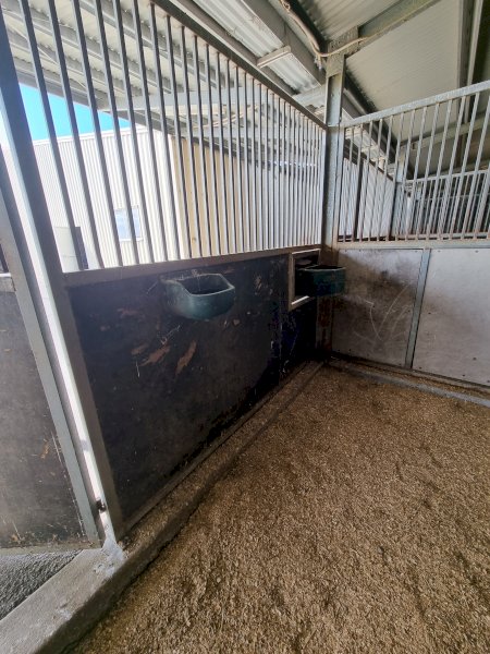 Under Auction - (A170) Horse Stables x 5 