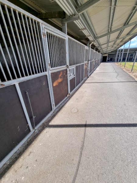 Under Auction - (A170) Horse Stables x 5 