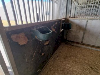 Under Auction - (A170) Horse Stables x 5 