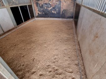 Under Auction - (A170) Horse Stables x 5 