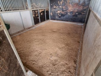 Under Auction - (A170) Horse Stables x 5 