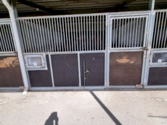 Under Auction - (A170) Horse Stables x 5 