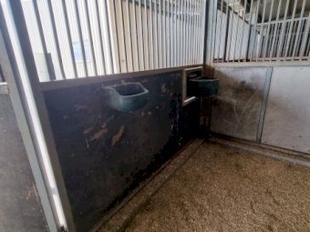 Under Auction - (A170) Horse Stables x 5 