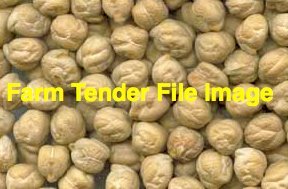 10mt Kalkee Kabuli Chickpea Seed
