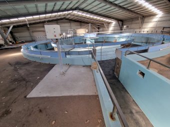 Under Auction - (A170) 6 Horse AquaCiser Water Walker with Filtration Setup 