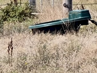 Under Auction - (A170) 6 X Polymaster 200Ltr Water Troughs 