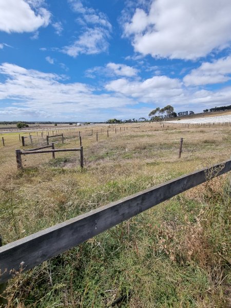 100 X Posts and Rails