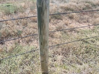 100 X Posts and Rails