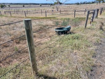 100 X Posts and Rails