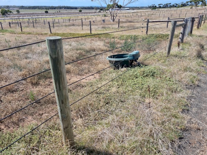 Under Auction - (A170) 100 X Posts, Strainers, Stays, Wire 