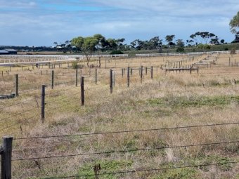 Under Auction - (A170) 100 X Posts, Strainers, Stays, Wire 