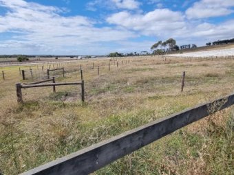 Under Auction - (A170) 100 X Posts, Strainers, Stays, Wire 