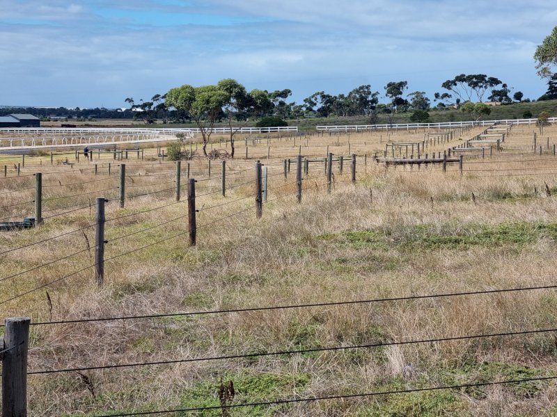 100 X Posts, Strainers, Stays, Wire