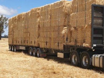 2019 Barker B Double Tri-Axle Trailers