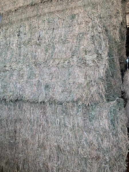 350t 8x4x3 first cut Lucerne