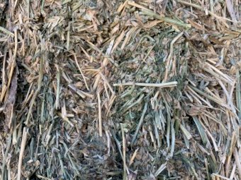 350t 8x4x3 first cut Lucerne