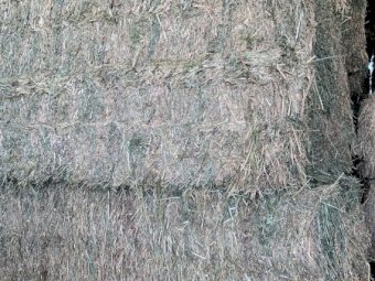 350t 8x4x3 first cut Lucerne