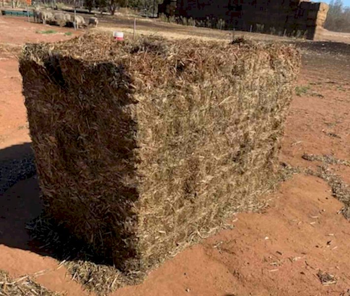 Vetch Hay 8x4x3 Bales