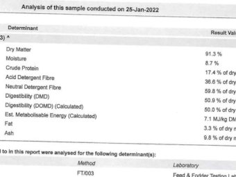 Vetch Hay 8x4x3 Bales