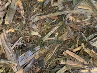 Vetch Hay 8x4x3 Bales