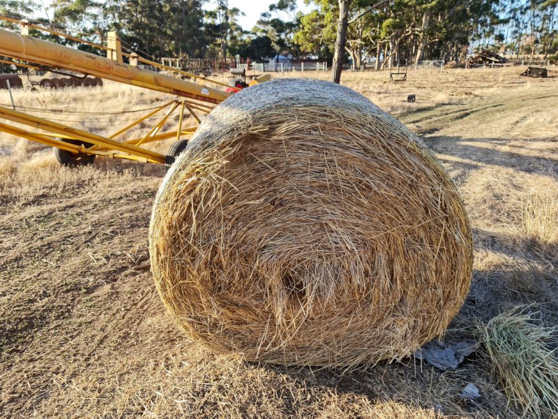 100 x Round Bales Ryegrass with scattering of Oats and Clover