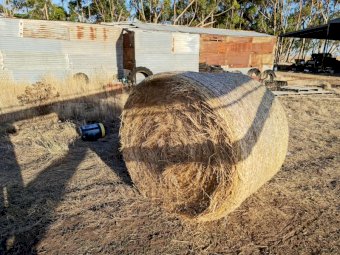 100 x Round Bales Ryegrass with scattering of Oats and Clover
