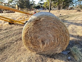 100 x Round Bales Ryegrass with scattering of Oats and Clover
