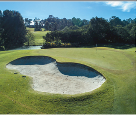 Magprill Granulanted Dolomite