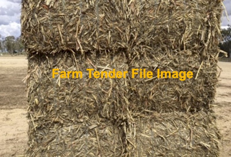 WANTED 300-400 Sorghum Stubble Straw 8x4x3 Bales
