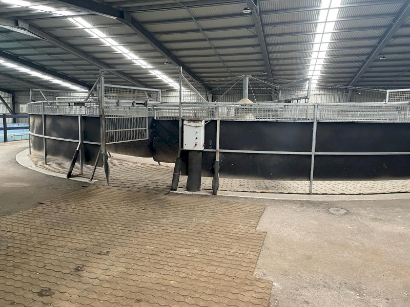 Under Auction - (A170) Equine Auto Trainer 12 Horse Dry Walker 