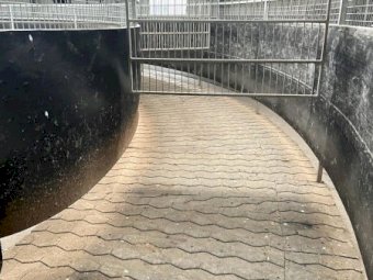 Under Auction - (A170) Equine Auto Trainer 12 Horse Dry Walker 