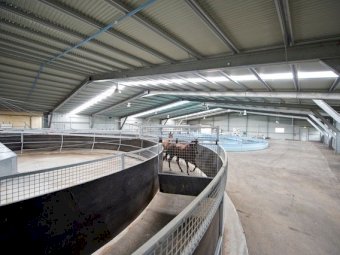 Under Auction - (A170) Equine Auto Trainer 12 Horse Dry Walker 