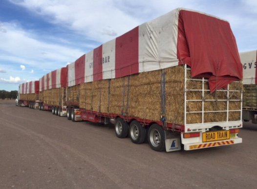 Hay, Silage, Freight needed to support Flood Victims in Casino, Lismore and Gympie areas